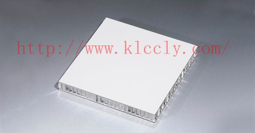 鋁蜂窩穿孔吸音板 鋁蜂窩穿孔吸音板